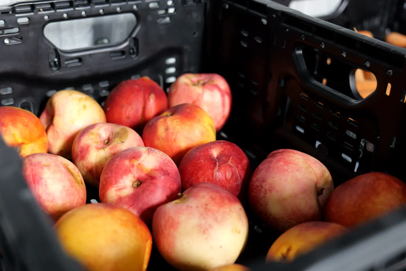 Caisse de pêches et de nectarines